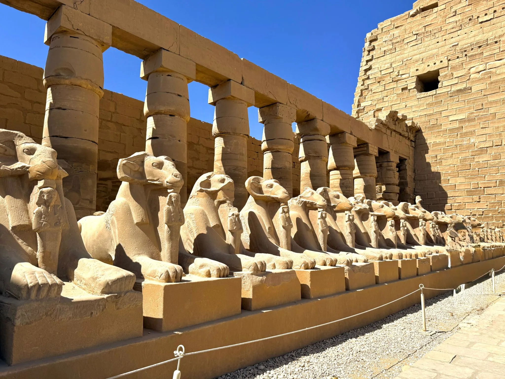 🏛️🐫 Luxor Day Trip from Marsa Alam ☀️✨ Luxor Day trip /IMG-20260310-WA0035.jpg
